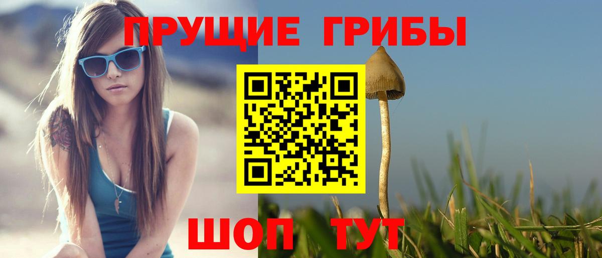 Галлюциногенные грибы MAGIC MUSHROOMS  Псилоцибиновые грибы GOLDEN TEACHER  Киров  Вход с VPN 